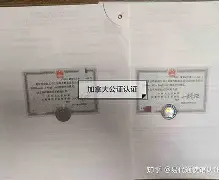 里程碑夜多伦多猛龙内部沟通，德甲今晚刷纪录，目标明确，纪律约束更严格的简单介绍